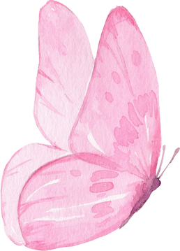 Watercolor Illustration Of The Pink Butterfly