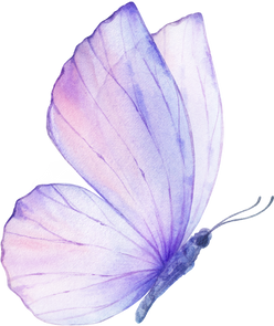 Pink Violet Watercolor Butterfly